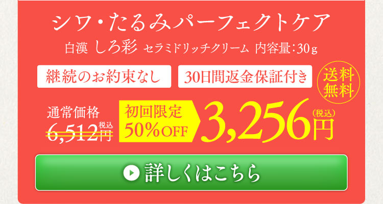 初回限定50%OFF 3,256円(税込)